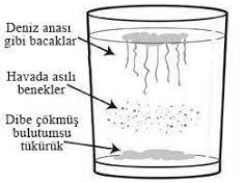 Images